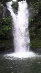 2500 paid falls 169x300