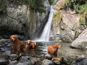 2536 bulawan falls 300x225