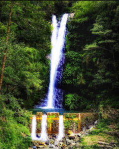 2562 balentimol falls 239x300