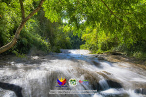 2620 taleb waterfalls 300x200