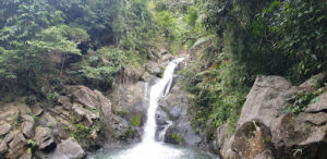 2625 jose ancheta falls 300x146