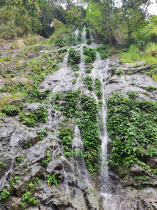 2697 pinsal falls san nicolas 225x300