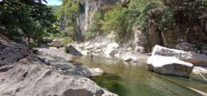 2745 gawagan nature park 300x140