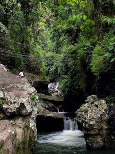 2767 lon oy la union bakes springriver 225x300