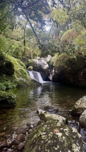 2769 camp utopia viewpoint 169x300