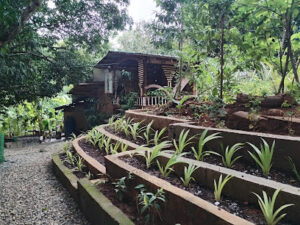 2771 pakalso law ing 300x225