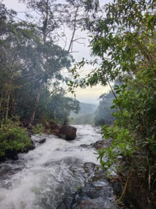 2810 mariwara 225x300