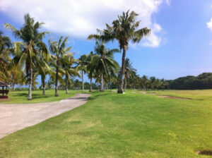 2947 mercedes plantation golf country club and mgv resort 300x224