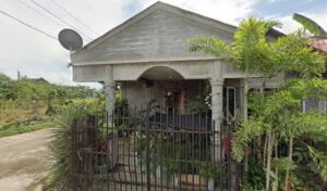 2963 gornz mini mansion 300x176