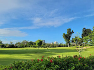 3030 shangri la golf field and garden 300x225