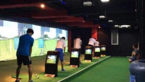 3049 albatross 300x169