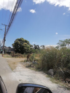 3073 kalikid golf course 225x300