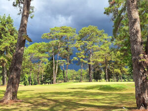 3227 del monte golf course 300x225