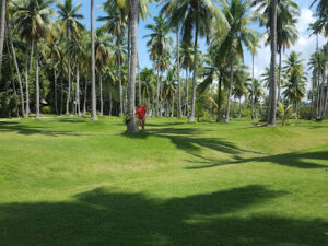 3251 malipano golf course 300x225