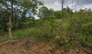 3261 dela fuente farm corporation hotel resort 300x176