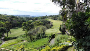 3296 hole 16 forest hills 300x169