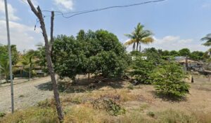 3300 tristan aron farm resort 300x176