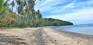 3322 panase beach 300x146