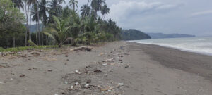 3342 baleva beach 300x135