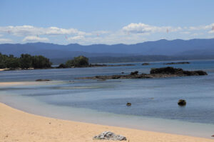 3358 dicotcotan beach 300x200