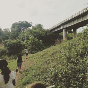 3364 greenstar beach 300x300