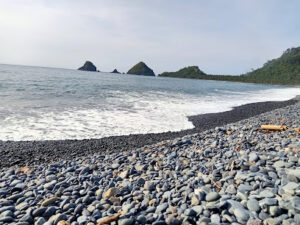 3381 bungan beach 300x225