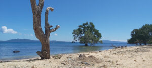 3393 siondoh beach 300x135