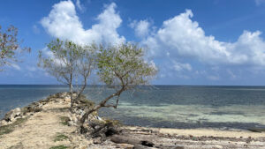 3397 sunkist seaside 300x169