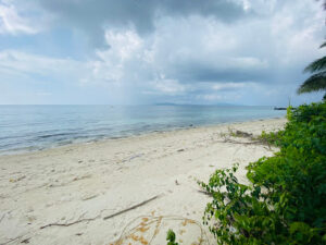 3403 usman beach 300x225