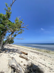 3408 pamalikan beach 225x300