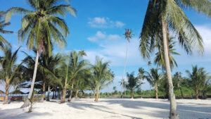 3421 acbm beach 300x169