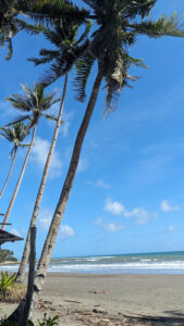 3439 kamuning beach 169x300