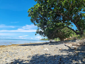 3448 tagbarungis beach 300x225