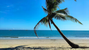 3452 sea eagle beach 300x169