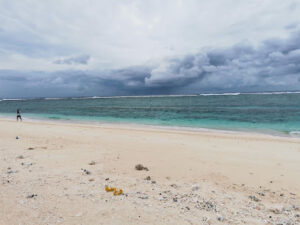 3494 west york island 300x225