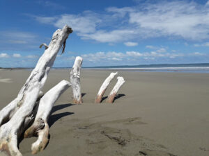 3508 baraayon beach 300x225