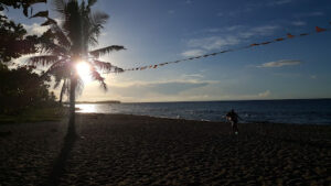 3525 alma beach 300x169