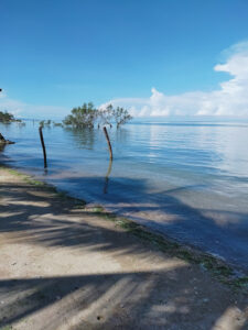 3570 privately owned beach 225x300