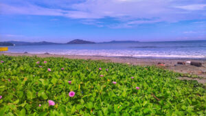 3594 tobuan beach point 300x169