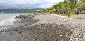 3634 paltic beach 300x146