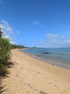 3642 kanaway beach 225x300