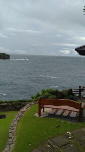 3646 lost beach 169x300