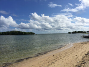 3650 white sand beach 300x225