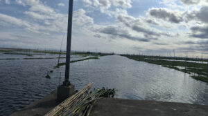 3652 white kiki beach 300x168