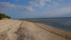 3686 nano beach 300x169