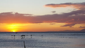 3688 banak beach hause 300x169