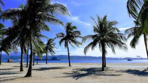 3699 sbma beach 300x169