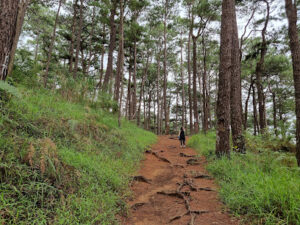 3714 camp john hay eco trail 300x225