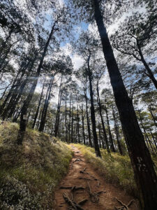 3716 yellow trail john hay baguio city 225x300