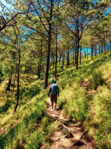 3718 mount ulap 8211 summit 225x300